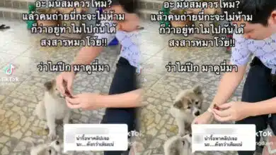 ครูไพบูลย์ ให้ลูกหมากินช็อกโกแลตผสมเหล้า