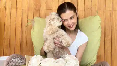 ปิ่น เก็จมณี