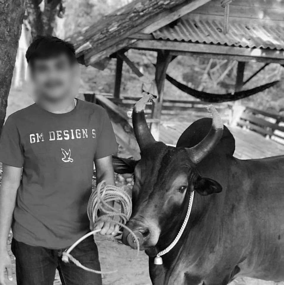 ข่าวอุบัติเหตุ