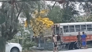 คลิปผัวเผาเมีย