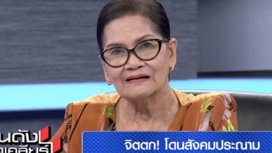 ป้าแมว