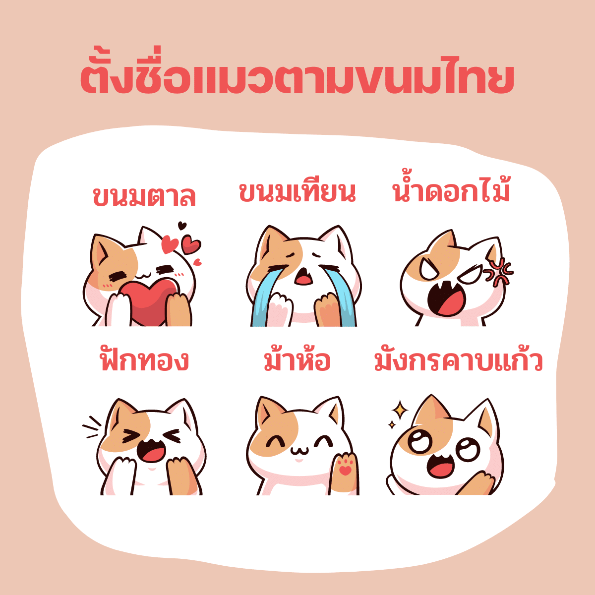 ตั้งชื่อแมวตามขนมไทย