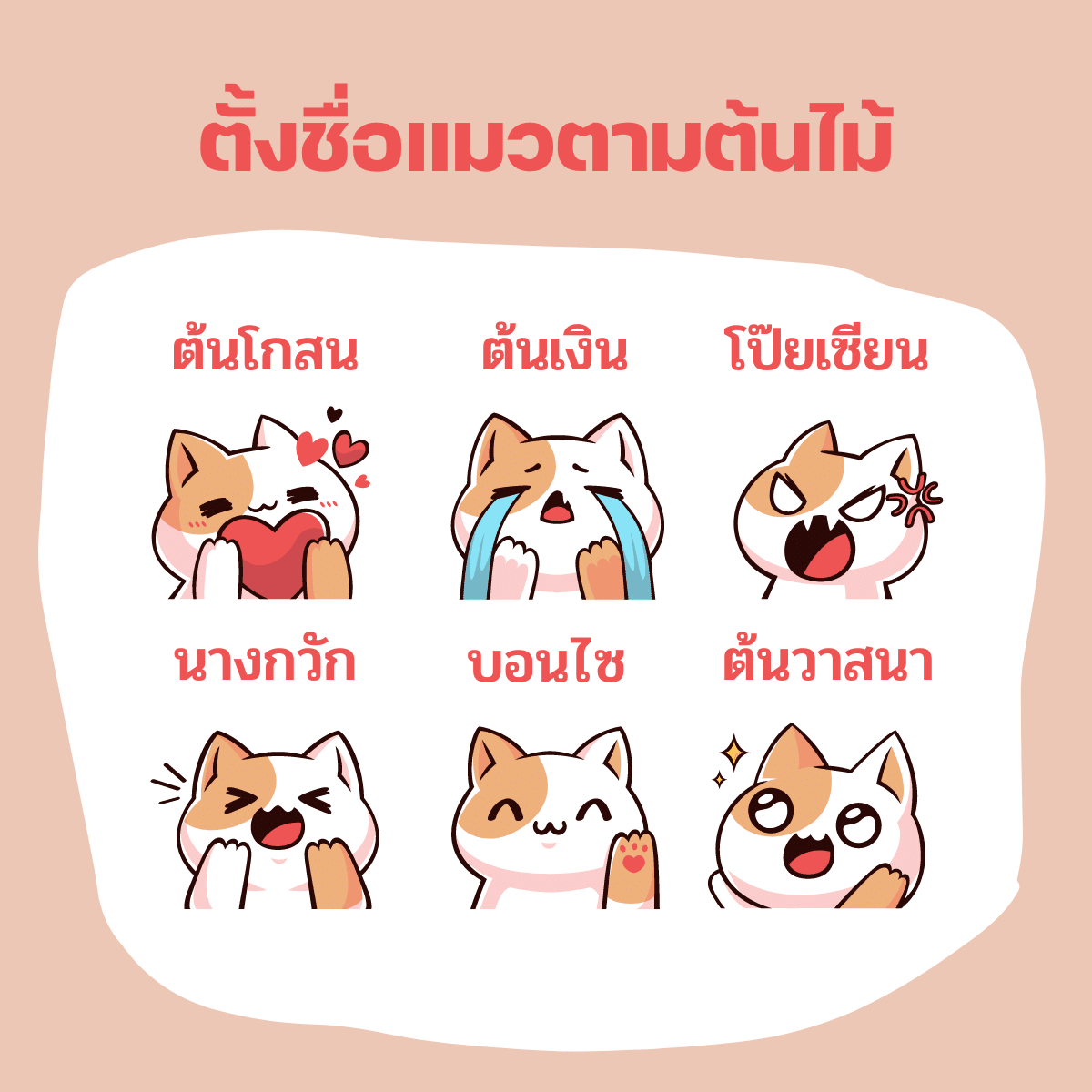 ตั้งชื่อแมวตามต้นไม้
