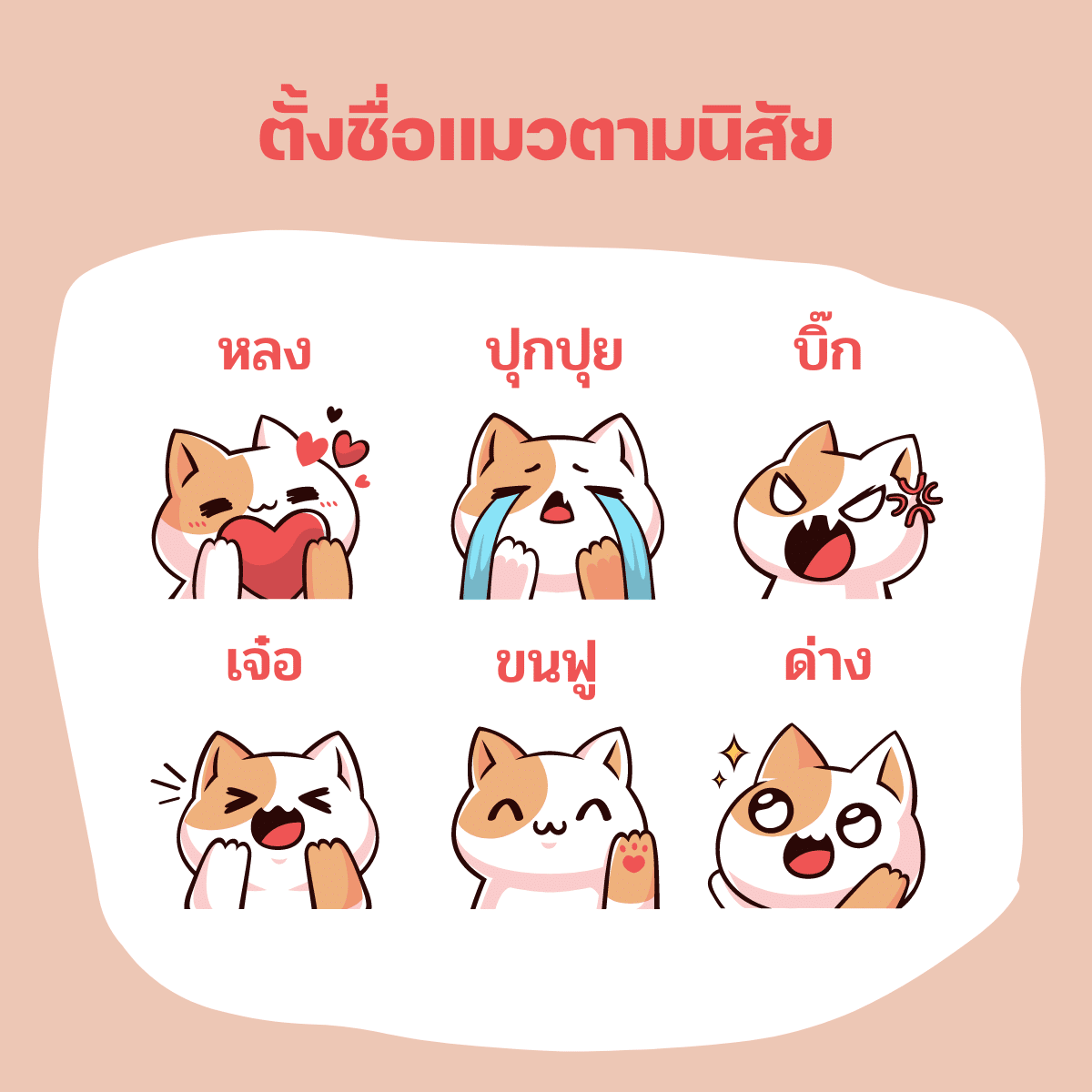 ตั้งชื่อแมวตามนิสัย