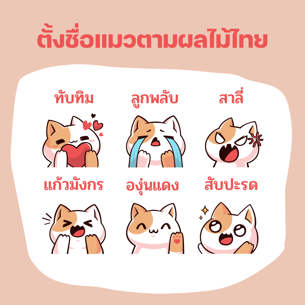 ตั้งชื่อแมวตามผลไม้ไทย