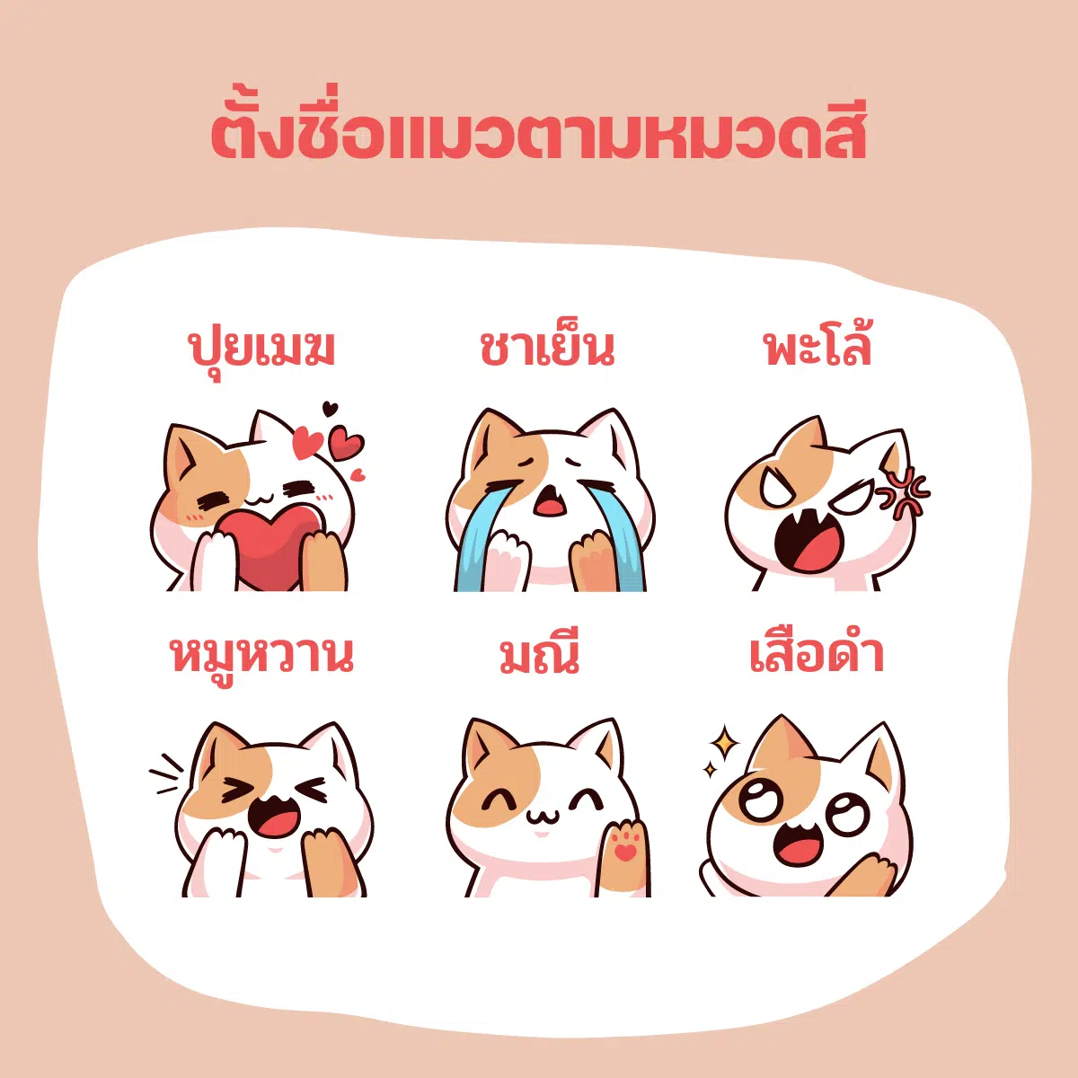 ตั้งชื่อแมวตามหมวดสี