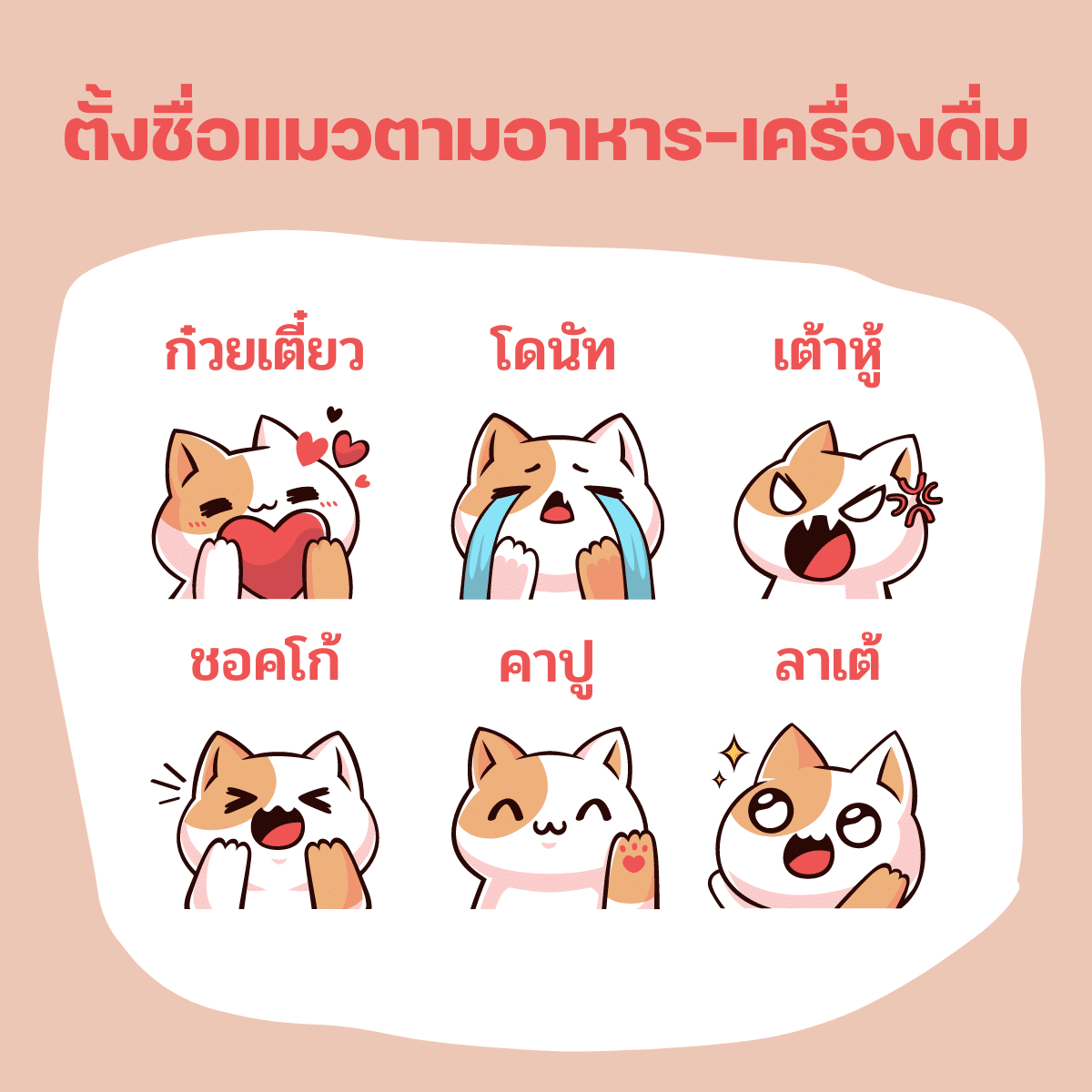 ตั้งชื่อแมวตามอาหาร-เครื่องดื่ม