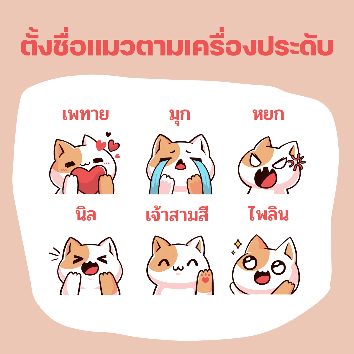 ตั้งชื่อแมวตามเครื่องประดับ