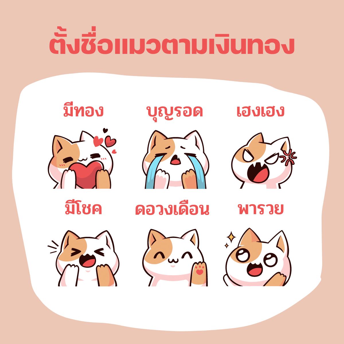 ตั้งชื่อแมวตามเงินทอง