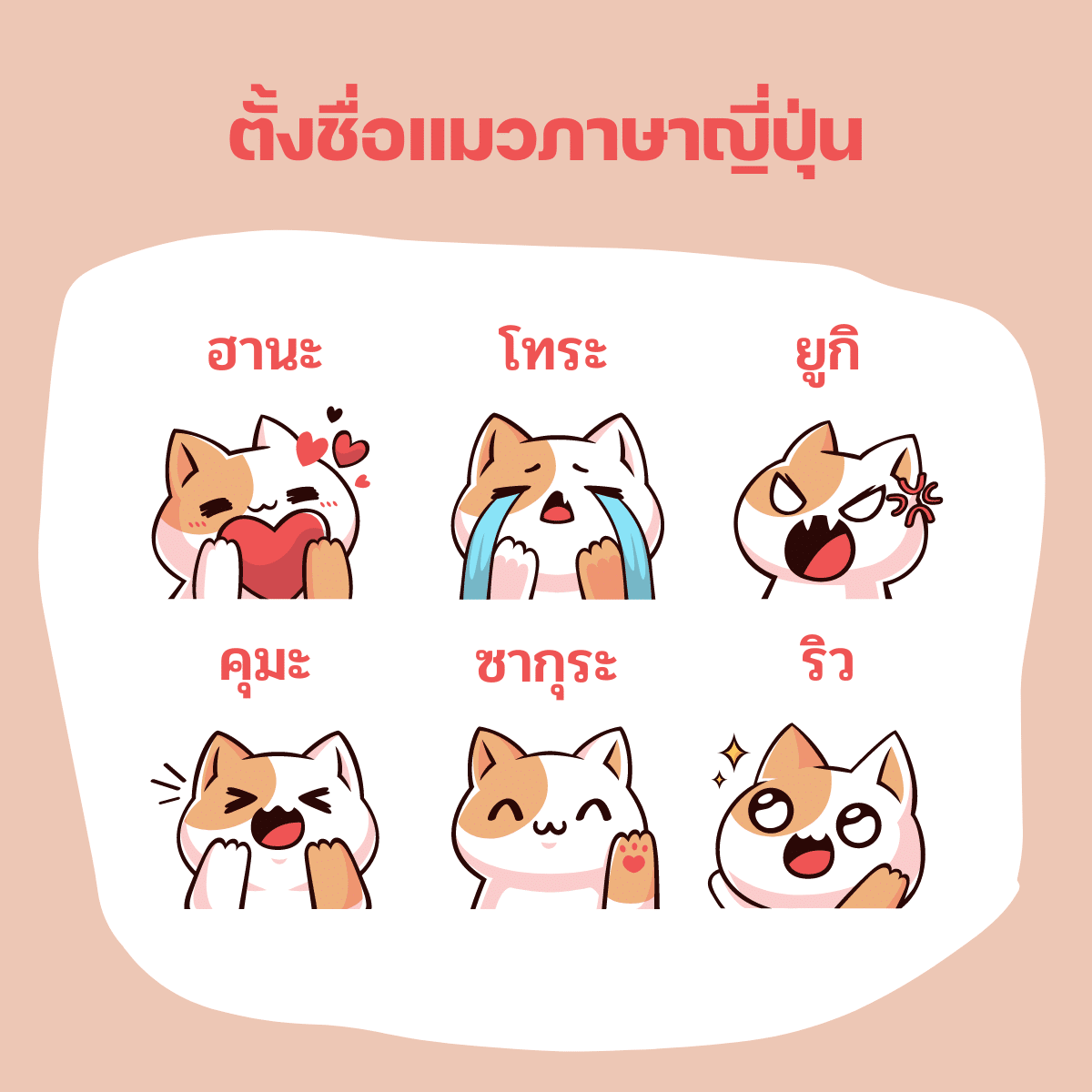 ตั้งชื่อแมวภาษาญี่ปุ่น