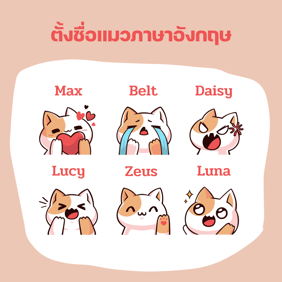 ตั้งชื่อแมวภาษาอังกฤษ