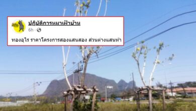 ต้นทองอุไร ส่วนต่าง