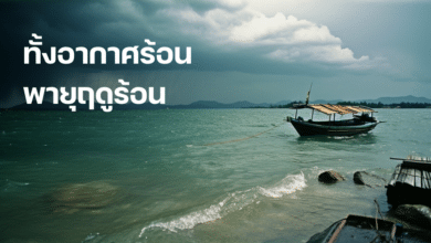 พายุฤดูร้อน