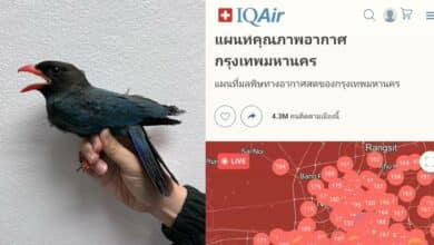 นกตะขาบแดง