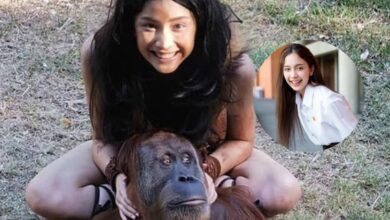 นางเอก ธิดาวานร ปิ่น ชรินพร