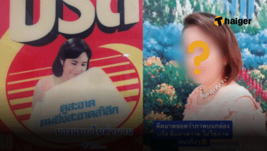 นางแบบบรีส 2523