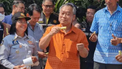 ซีเซียม 137