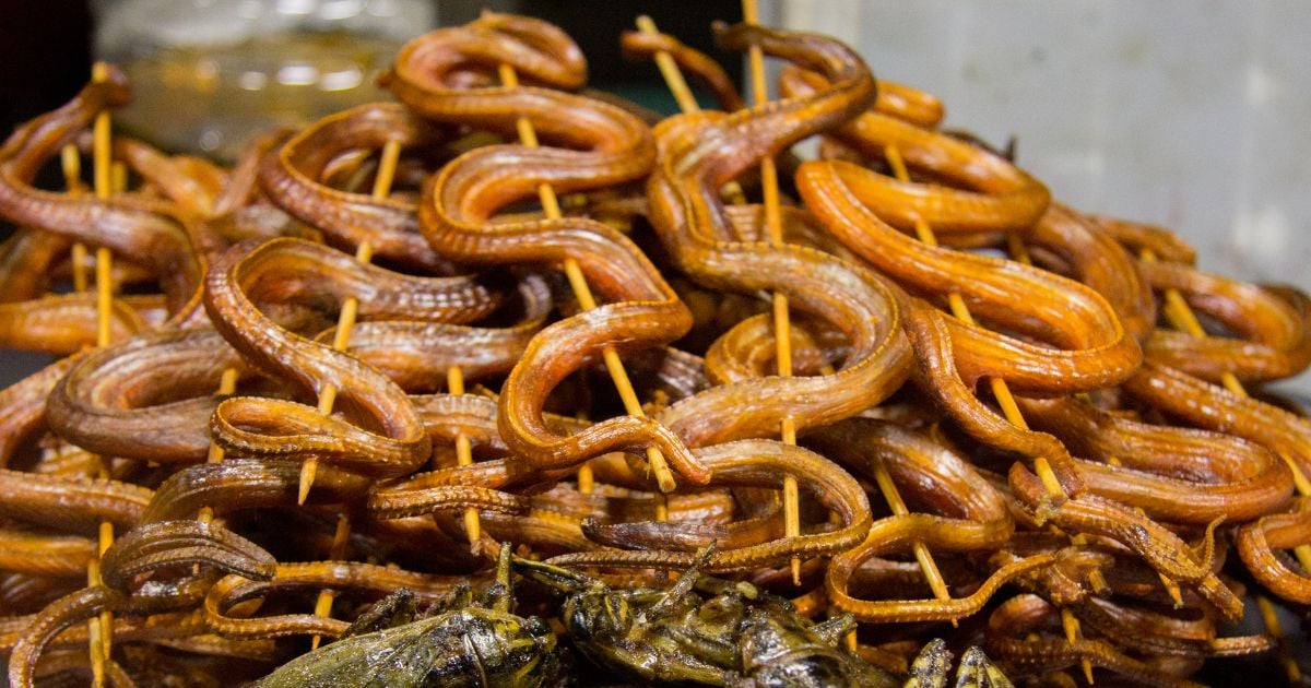 ฝันว่ากินงู หมายความว่าอะไร