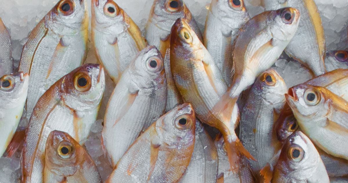 ทำนายฝัน ลางดีหรือไม่