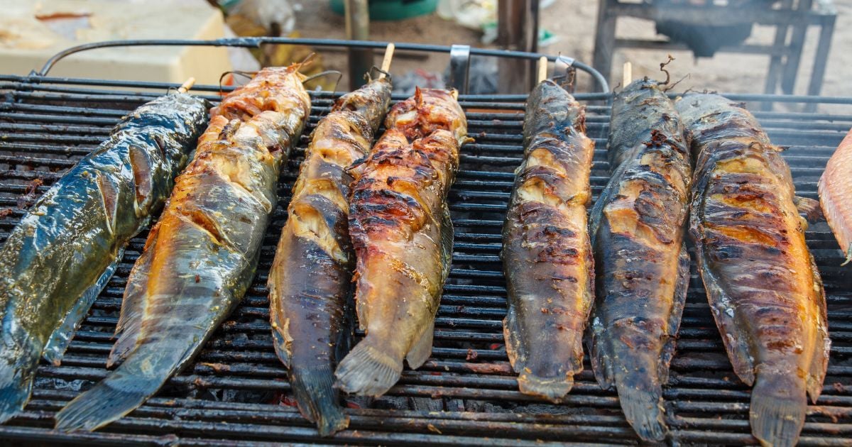 ฝันว่ากินปลา เลขเด็ด ทำนายฝัน