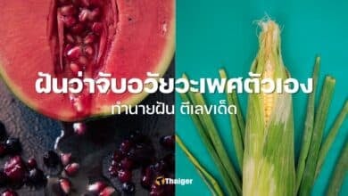 ฝันว่าจับอวัยวะเพศตัวเอง