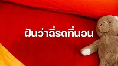 ฝันว่าฉี่รดที่นอน ทำนายฝัน เลขเด็ด