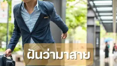 ฝันว่ามาสาย ทำนายฝัน เลขเด็ด