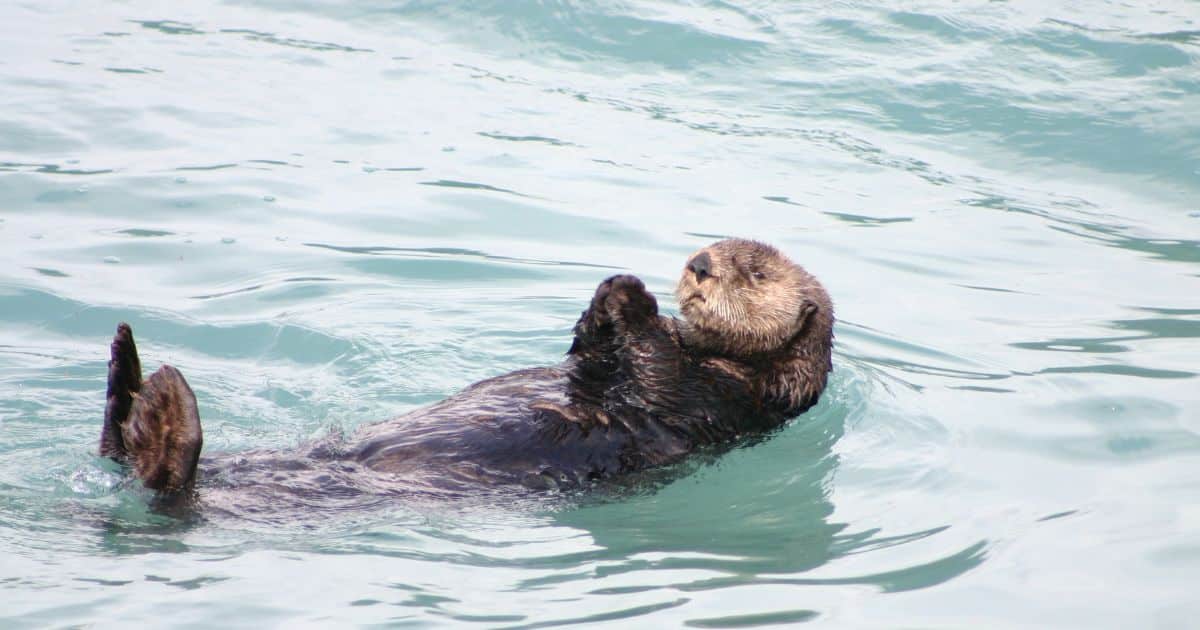 ฝันว่าเหาะได้ เลขเด็ด