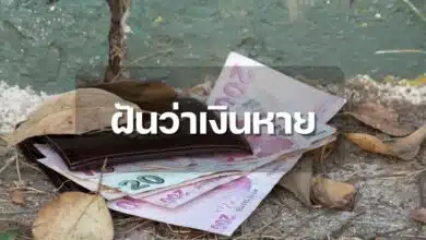 ทำนาย ฝันว่าเงินหาย บอกเหตุอะไร