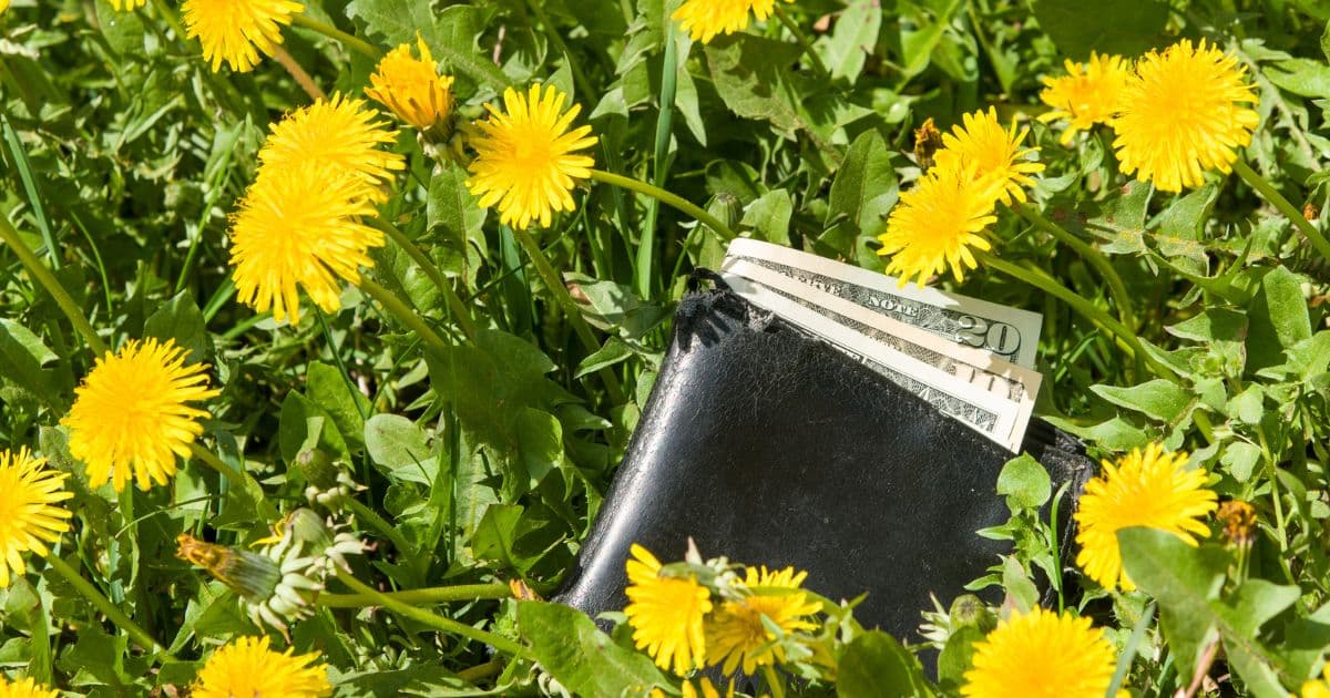 ทำนายฝัน 2566