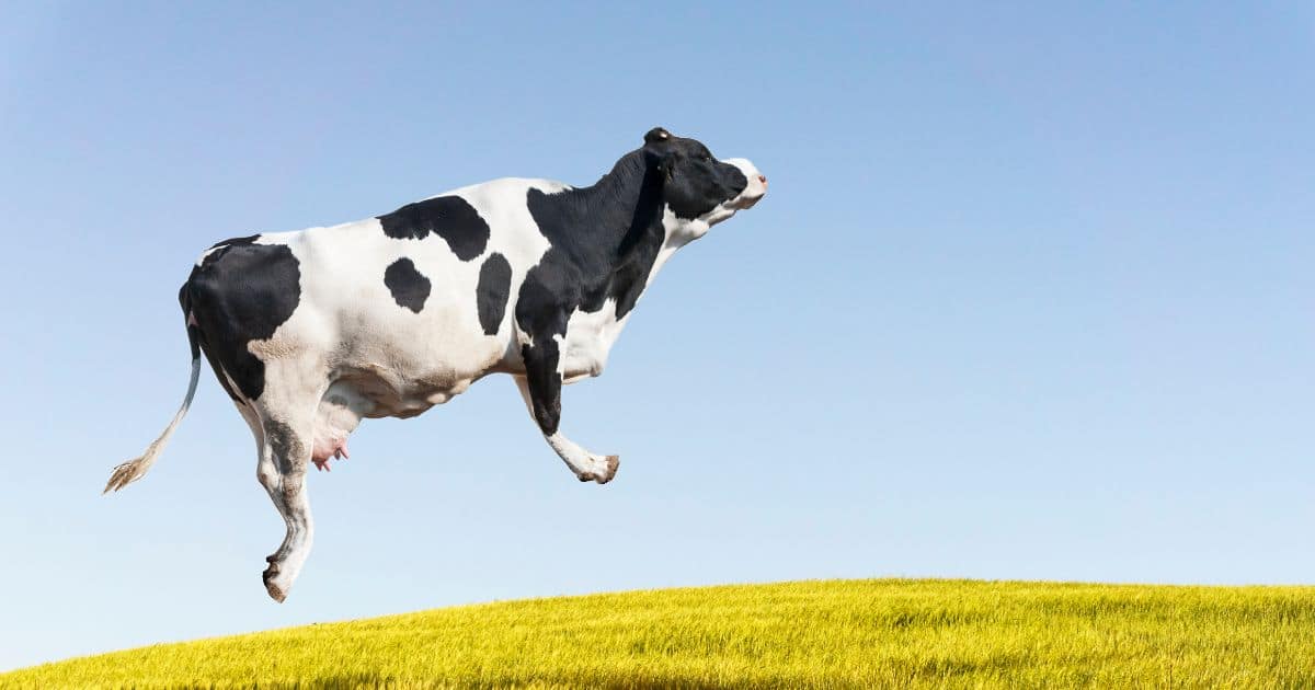 ทำนายฝัน เหาะได้ ลอยได้ เลขเด็ด