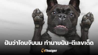 ฝันว่าโดนจับนม