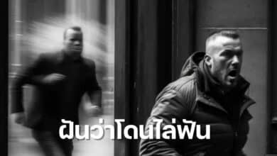 ฝันว่าโดนไล่ฟัน 2566
