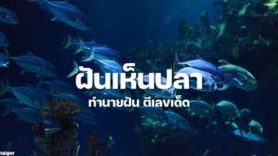 ฝันเห็นปลา