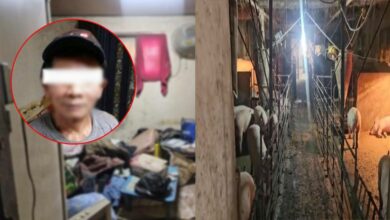 ลุงบุญชู ผีน้อยเสียชีวิตที่เกาหลี