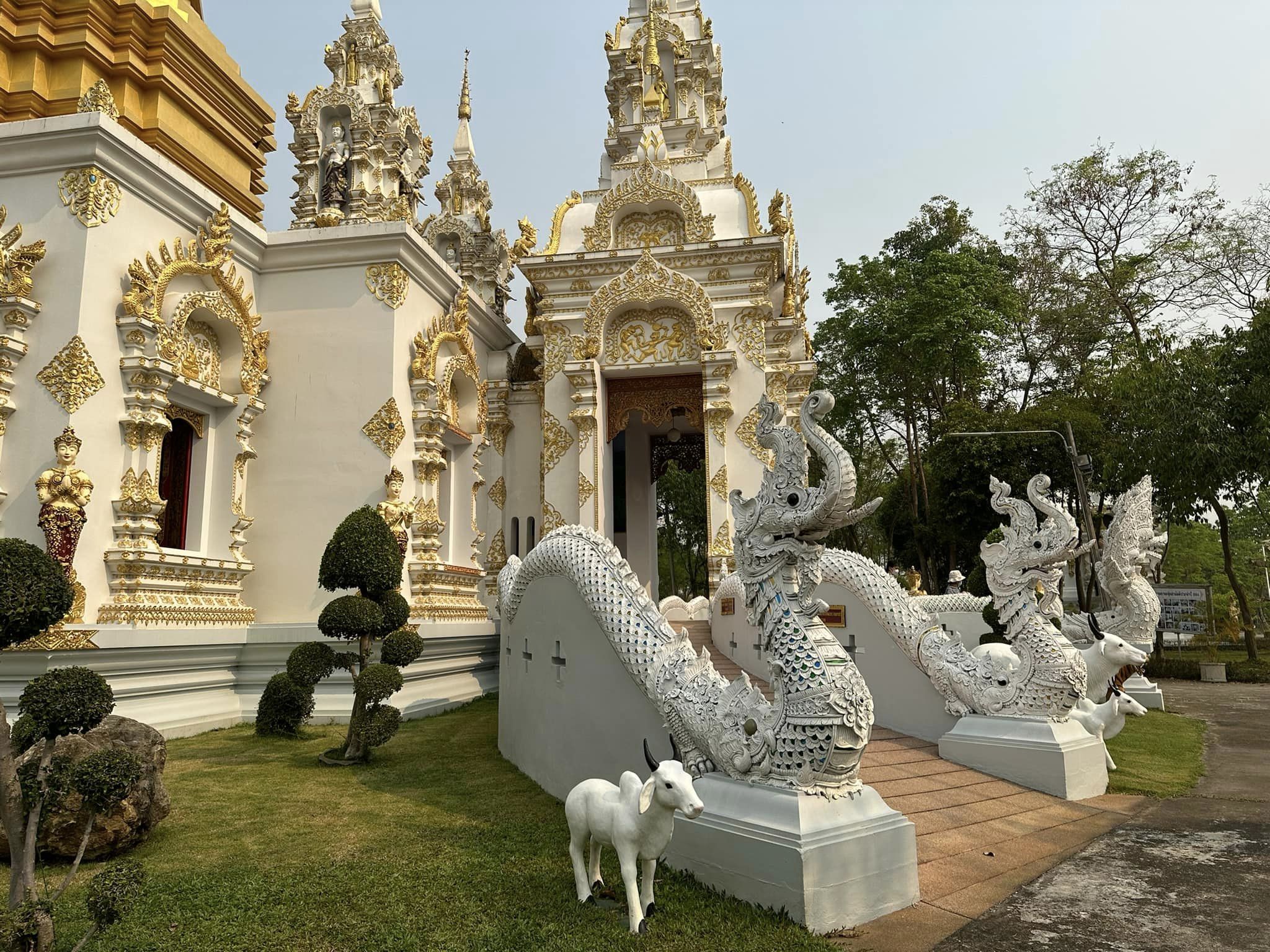 วัดศรีดอนมูล ภาพ