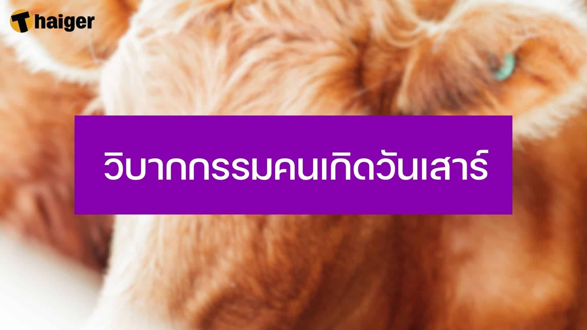 วิบากกรรมคนเกิดวันเสาร์