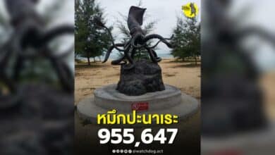 หมึกปะนาเระ