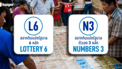หวย N3 L6