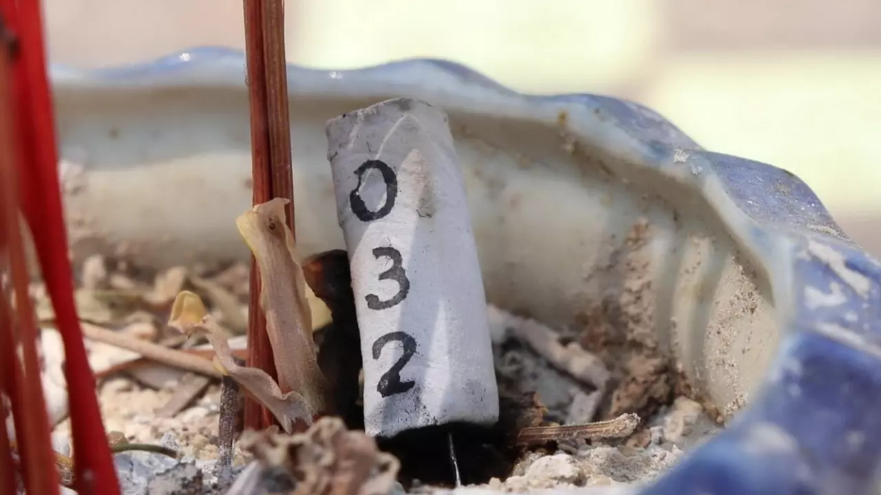 เจ้าแม่ตะเคียนทอง 16 3 66