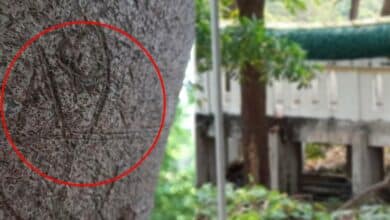 เลขคําชะโนด 16 3 66