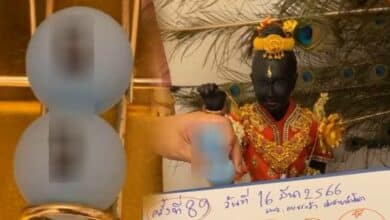 เลขปิงปองน้องเพชรกล้า 16/3/66