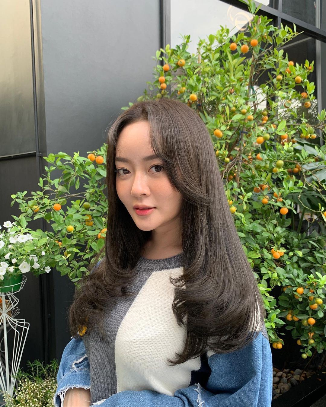 ดารากันซีน