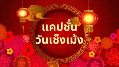 แคปชั่นวันเช็งเม้ง