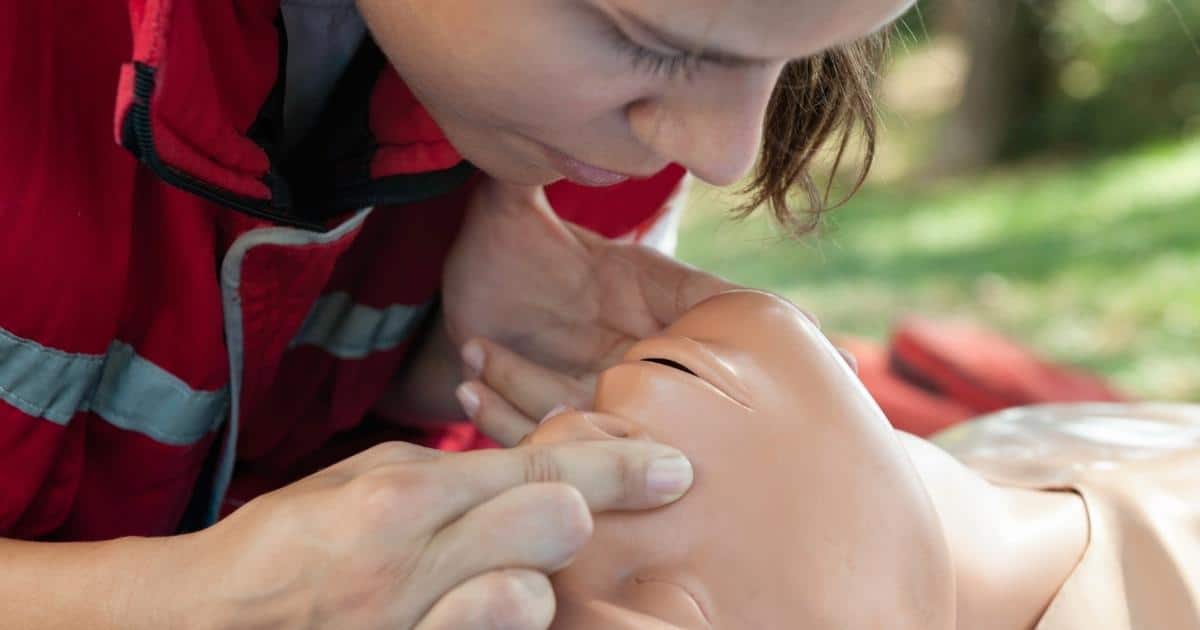 แมงดาถ้วย แมงดาจาน