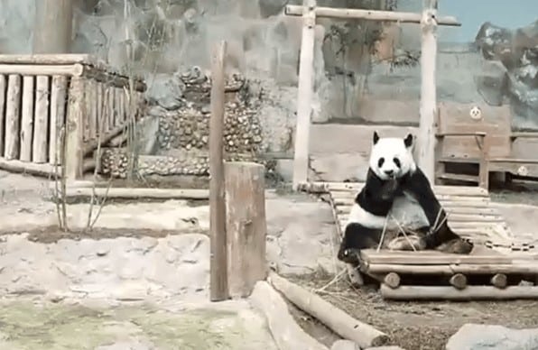 เลขเด็ด หลินฮุ่ย เสียชีวิต