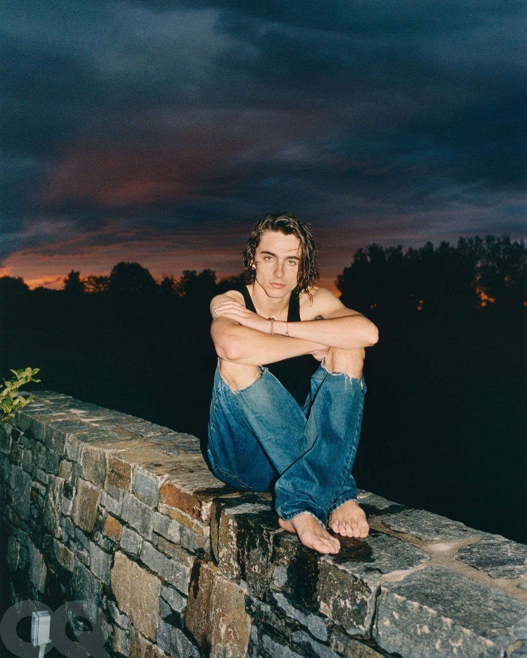 Kylie Jenner Timothee Chalamet