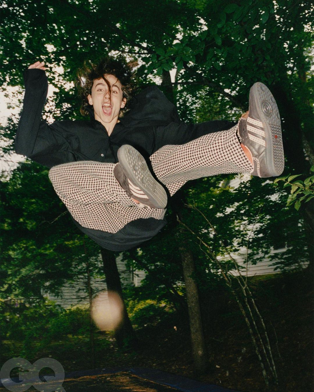 Kylie Jenner Timothee Chalamet