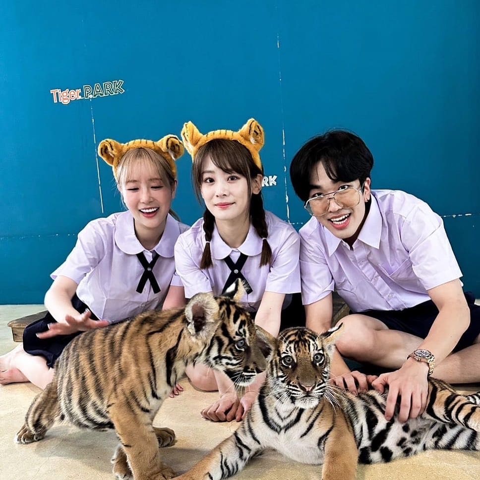 คิวเท ขอโทษกับดราม่าที่เกิดขึ้น