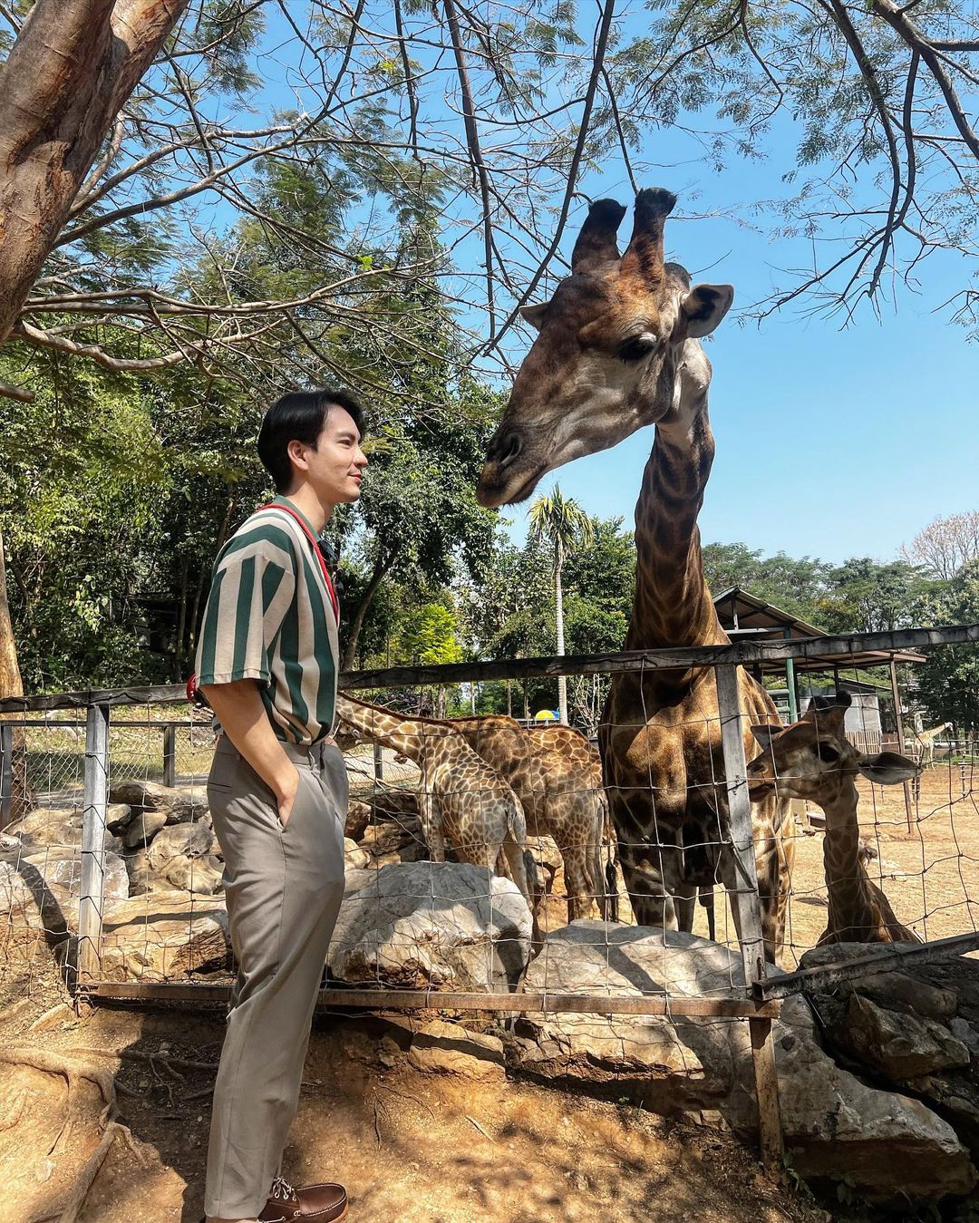 นิว เป็นลม